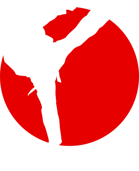 fight-siluet1