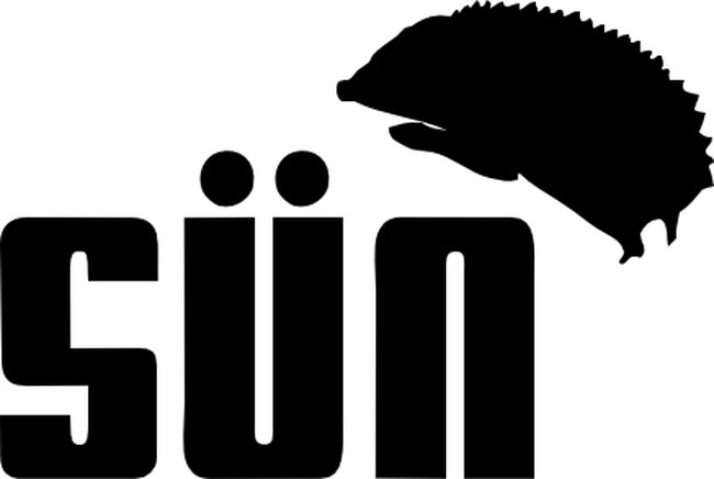 Sün