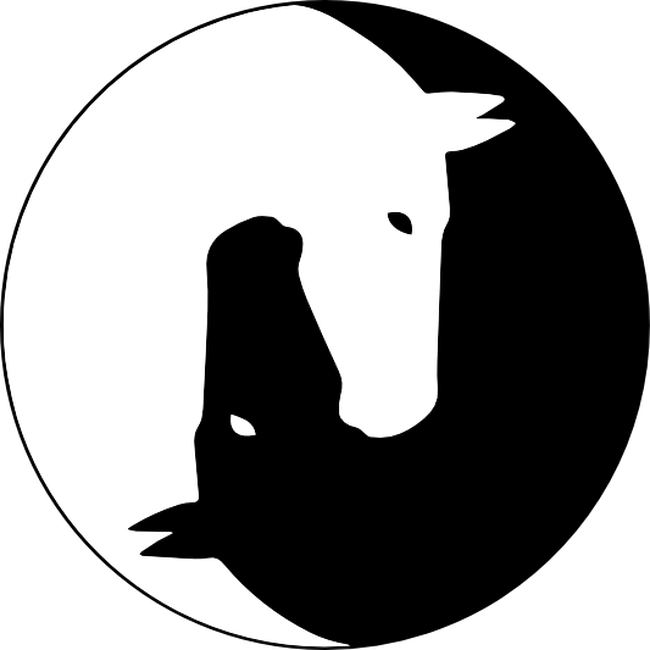 Lovas ying-yang