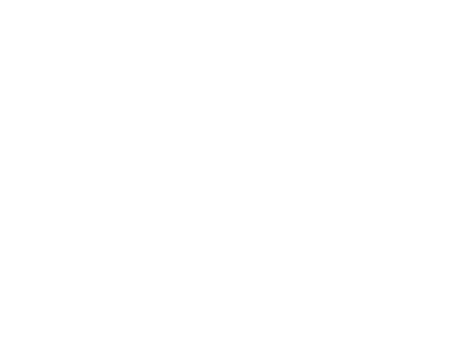 A legjobb informatikus